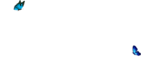 My Blog